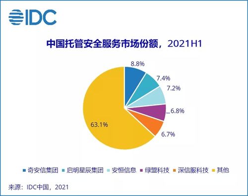 2021上半年中國IT安全服務市場躍升 整體收入約11.1億美元，同比增長達110%，互聯網接入及相關服務成關鍵驅動力